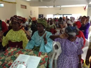 Ministry Arms diffpix 104